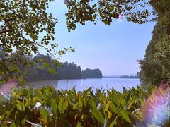-东湖落雁景区