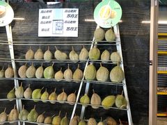 -都念榴莲·城市榴莲