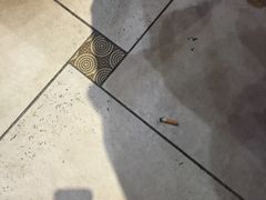 -金瑞轩大酒楼·顺德鱼生·粤菜海鲜(东江国际店)