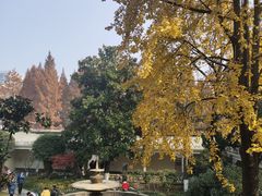 -南京中国近代史遗址博物馆(南京总统府)