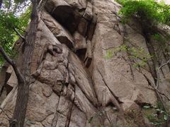 -大岭沟猕猴桃谷风景区