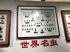 -上海昆虫博物馆