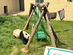 -石家庄市动物园