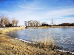 -大兴滨河森林公园