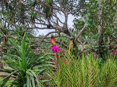 -海南热带野生动植物园