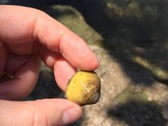 -贵阳市花溪国家城市湿地公园