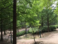 -白水寺森林公园