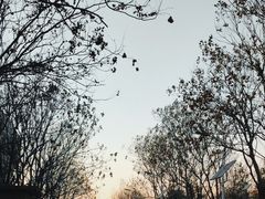 -山东博物馆