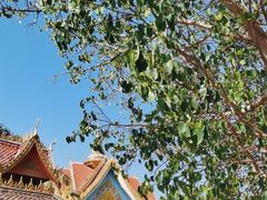 -西双版纳傣族园