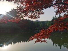-四明山国家森林公园