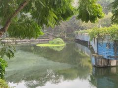 -重庆彩云湖湿地公园