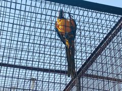 -石家庄市动物园