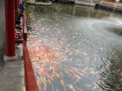 -番禺宾馆丽苑厅