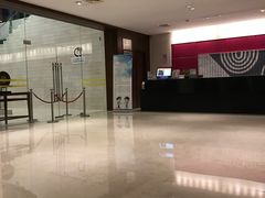 -南桥绿地铂骊酒店