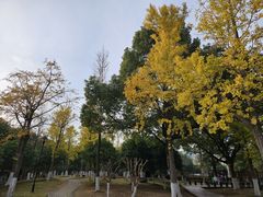 -苏州太湖湖滨国家湿地公园