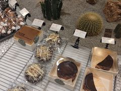 -OUR Bakery(SKP-S店)