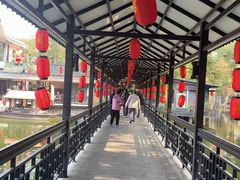 -侨美·唐荔园·40年地道粤菜