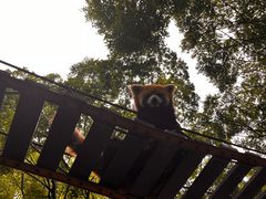 -上海野生动物园