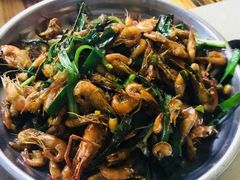 韭菜炒河虾仔-香竹农庄•传统竹筒饭(十年店)