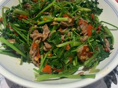 香菜炒牛肉-壹盏灯(华远店)