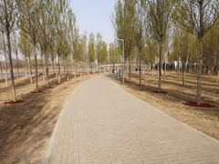 -东郊湿地公园