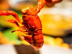 -别院里音乐餐酒吧(双流航空港店)