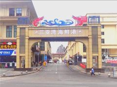 -三亚湾水产综合交易市场