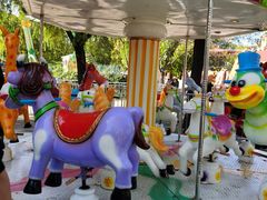 -朝阳公园游乐园