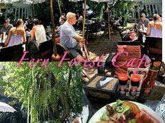 -Fern Forest Cafe