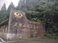 -武陵山森林公园