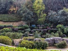 -桃花岭景区