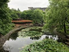 -宁波九龙湖开元度假村
