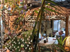 -Jungle Kitchen