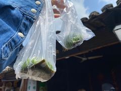 -乌镇东栅景区