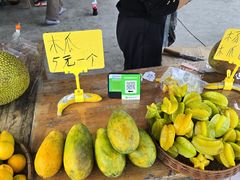 -西双版纳傣族园