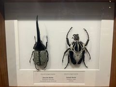 -墨尔本博物馆(Melbourne Museum)