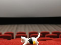 -保利国际影城(万家邻里店)