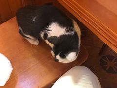 -如意林卡藏餐吧(大昭寺店)