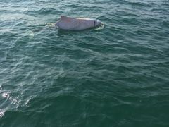 -鑫艋游艇海钓俱乐部