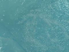 -哲学苑亲子园·早教婴儿托育·婴儿游泳(颐龙湾店)