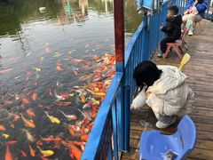 -南湖梦幻岛