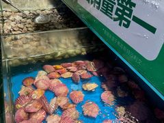 -亚马逊海鲜自助(王府井店)