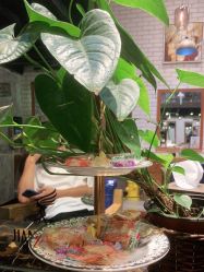 -T.1 hair salon烫染接发