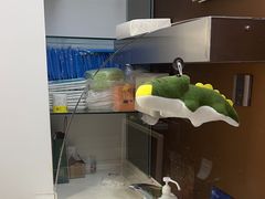 -圣贝口腔(海淀店)