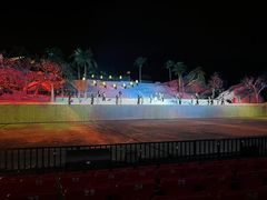 -三亚红色娘子军演艺公园景区
