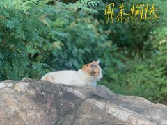 -广州珠江公园