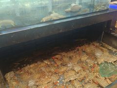 -小厨师·二十年沈家门小海鲜(百井坊巷店)