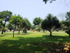 -瑶湖郊野森林公园