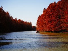 -上海海湾国家森林公园