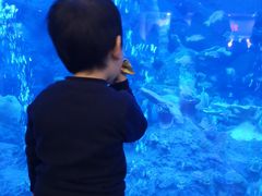 -成都浩海立方海洋公园